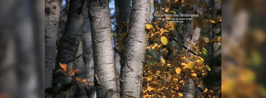 Voice from the Wilderness