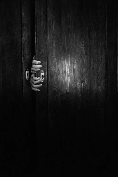 The Guest*