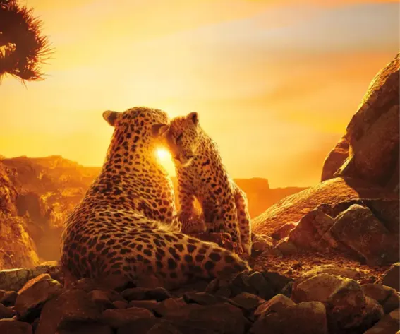 8 Educational Documentaries Every Student Should Watch