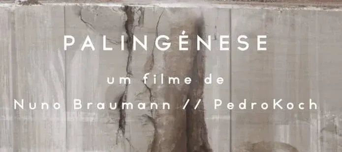 Palingenesis (TRAILER)