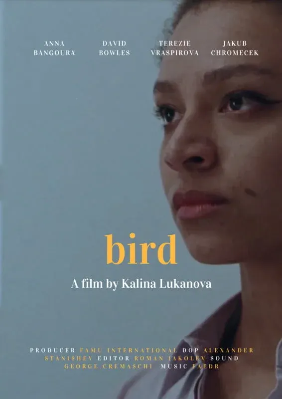 Bird*