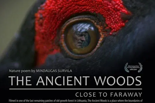 The Ancient Woods*