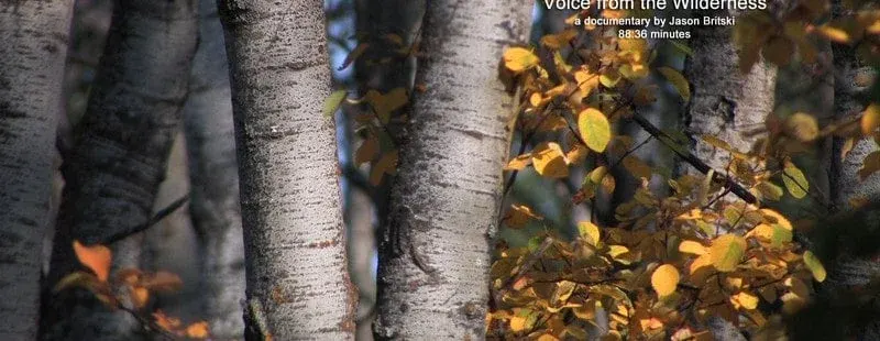 Voice from the Wilderness*