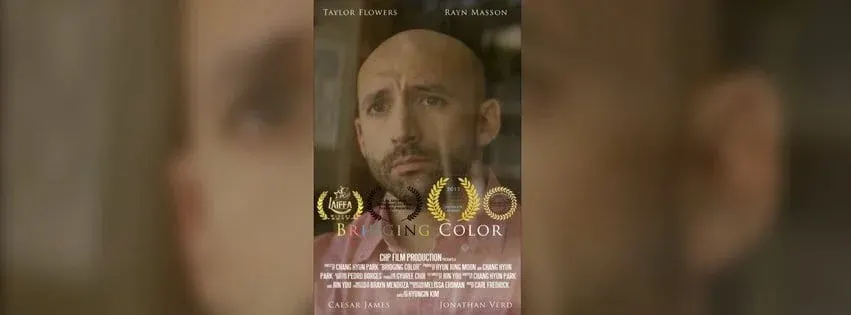 Bridging Color