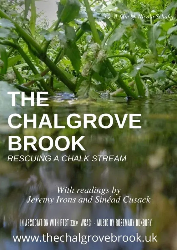 The Chalgrove Brook