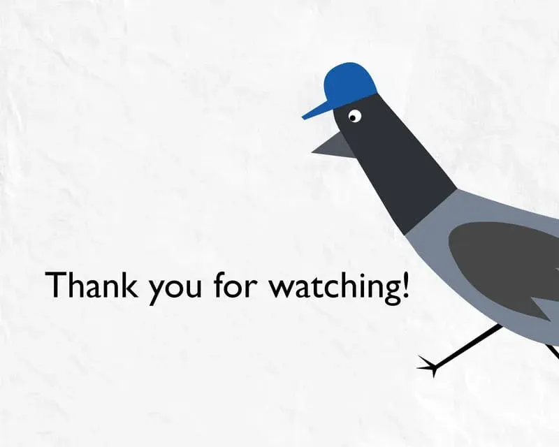 Pigeon*