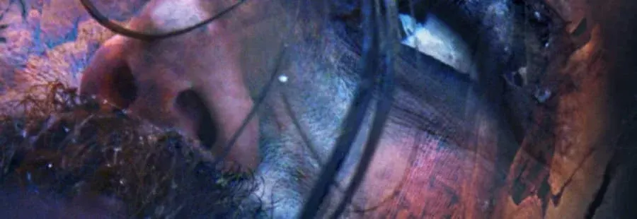 Cernunnos*