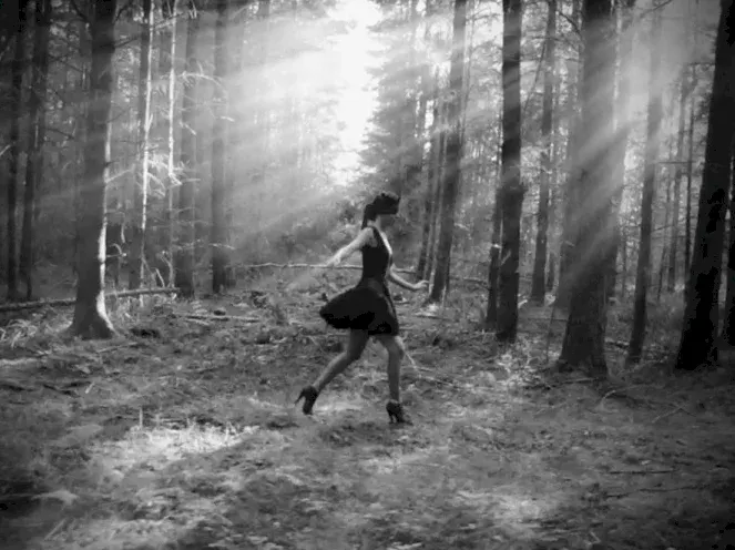 Woods