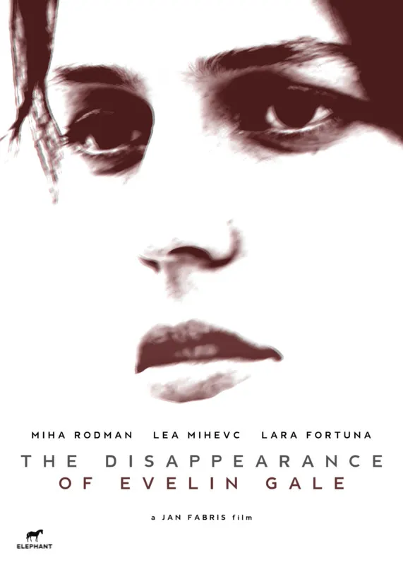 The Disappearance of Evelin Gale*