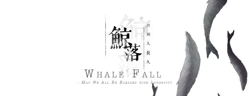 Whale Fall*
