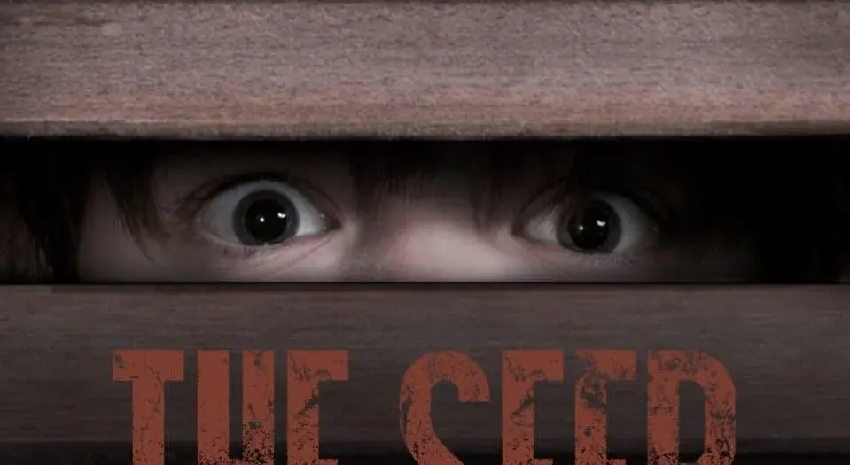 The Seer*