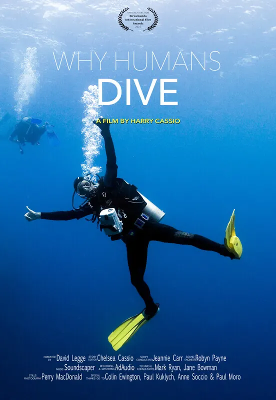 Why Humans Dive*