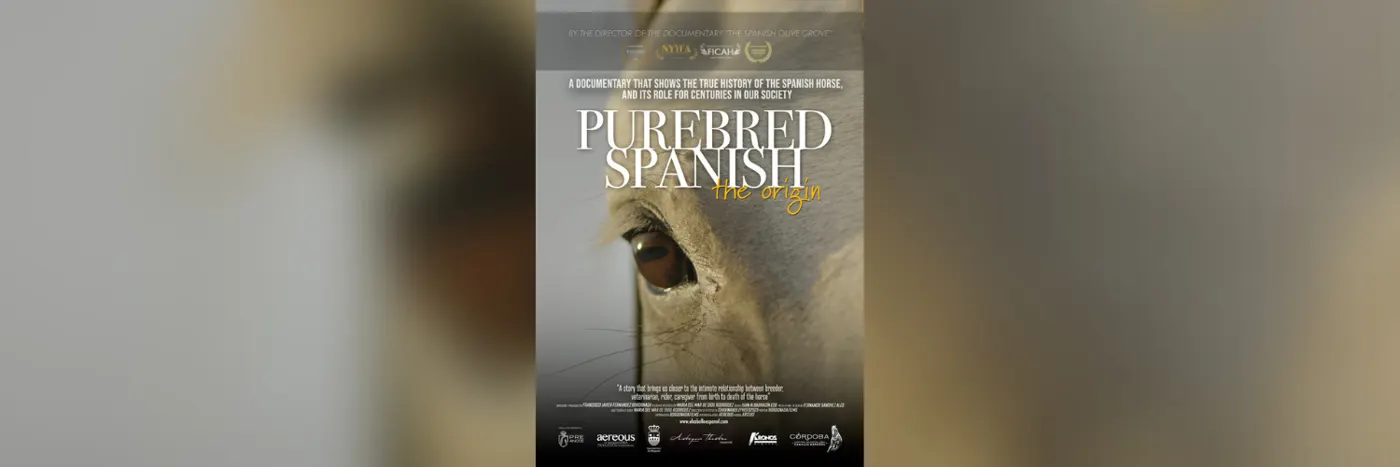 Purebred Spanish: The Origin