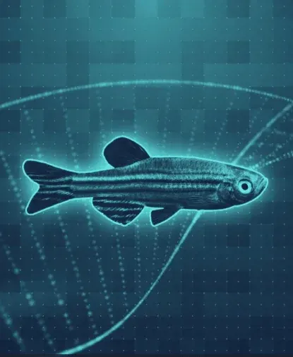 Zebrafish: Practically People