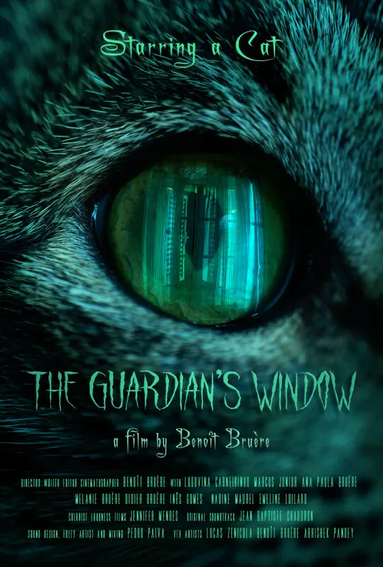 The Guardian's Window (TRAILER)