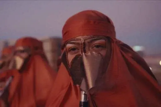Gul l'Abi