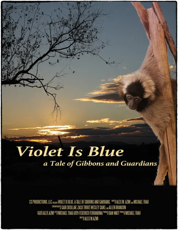 Violet is Blue*