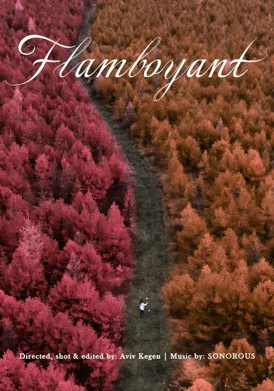 Flamboyant