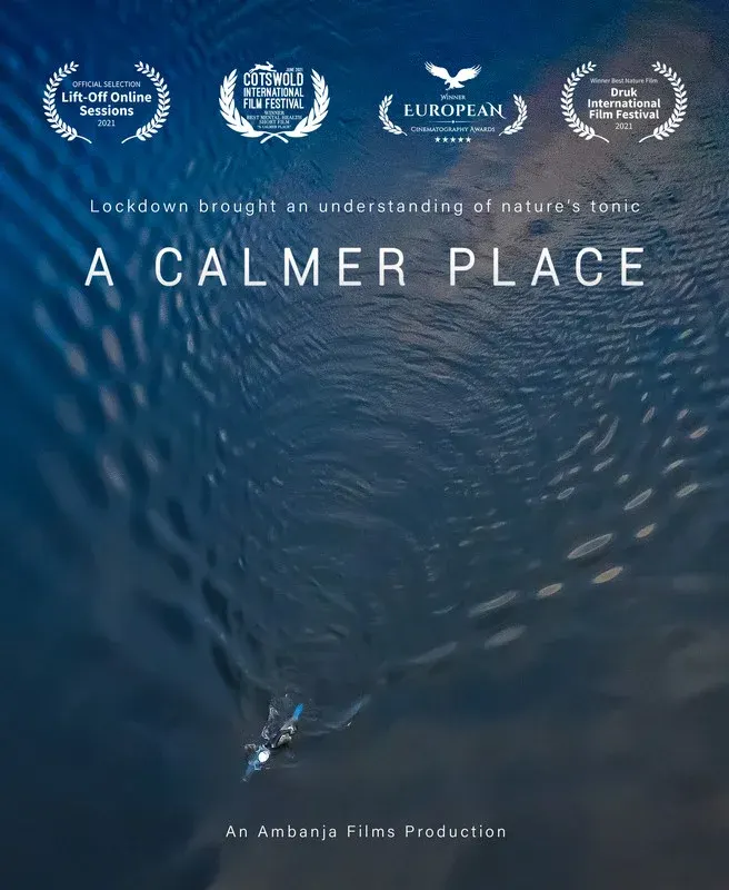 A Calmer Place