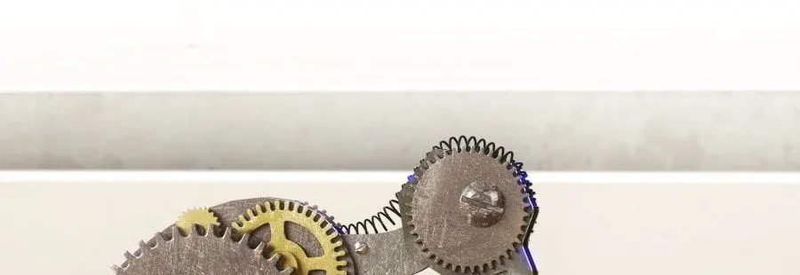 Portrait of a wind-up maker