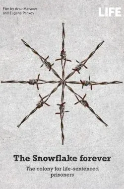 The Snowflake Forever