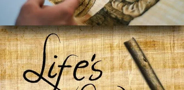 Life's Law