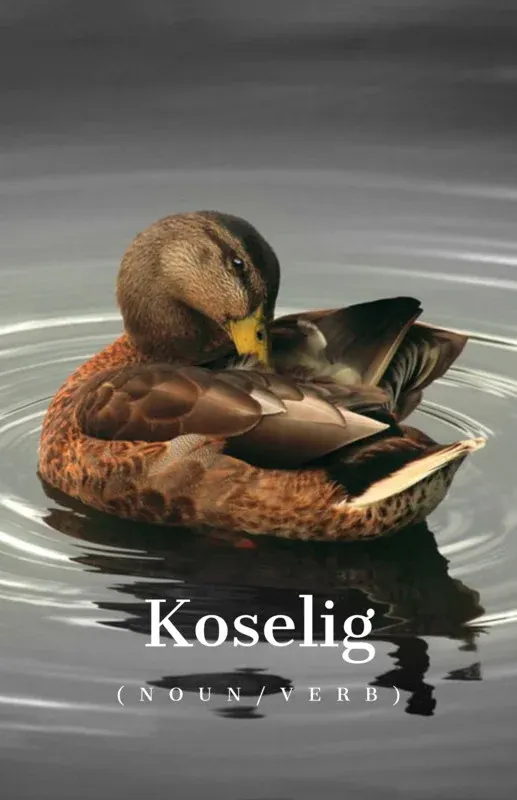 Koselig (noun/verb)*