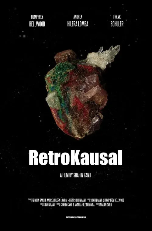 Retrocausal*