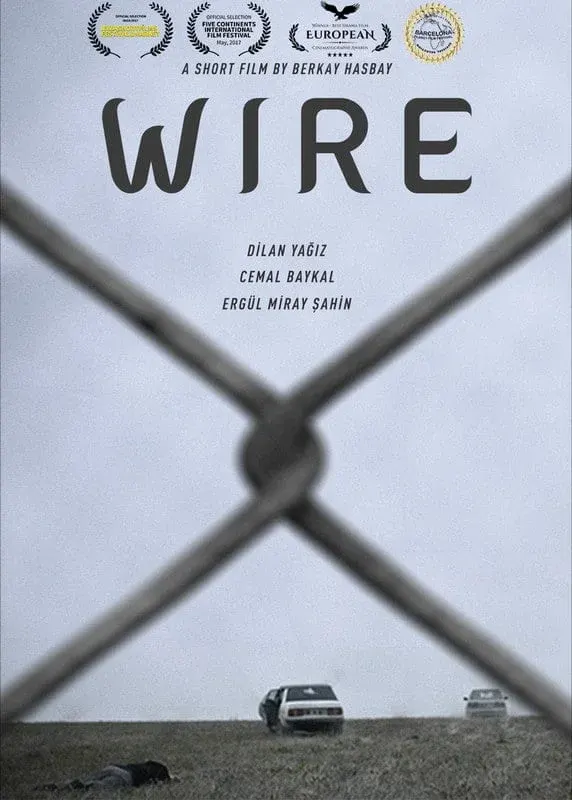 Wire*