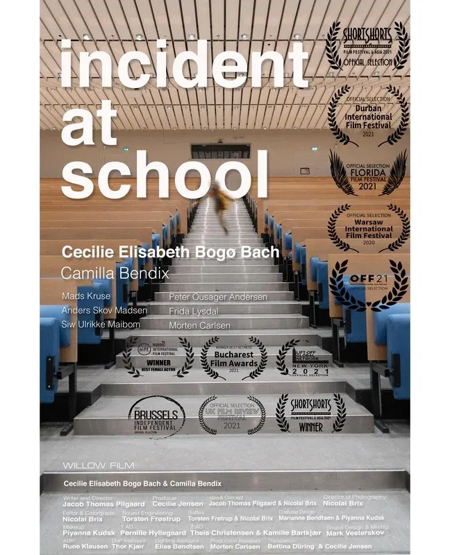 Incident at school*