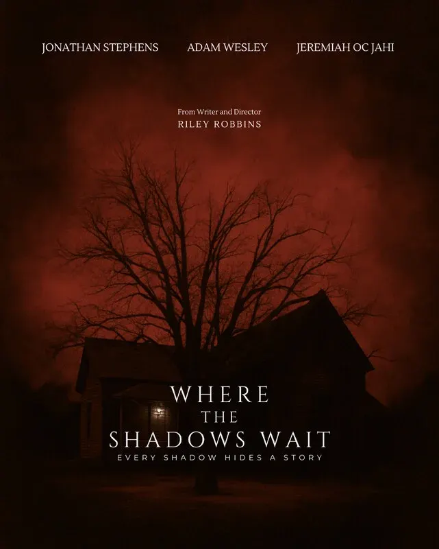 Where The Shadows Wait*