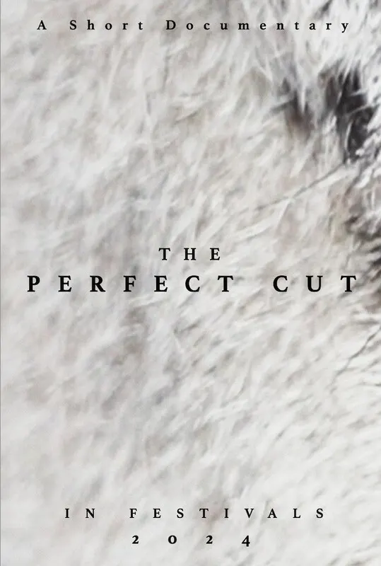 The Perfect Cut