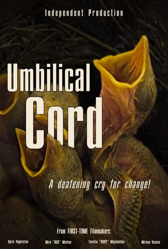 Umbilical Cord*