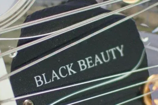 Black Beauty