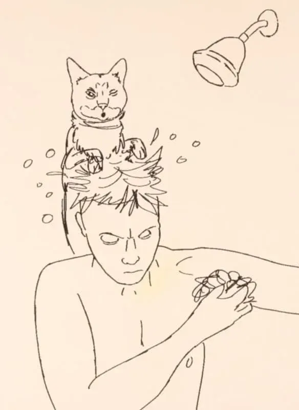 Domestic Cat