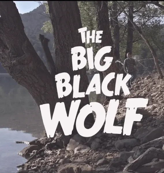 The big black wolf - Fizzy Soup