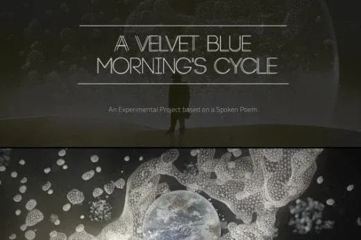 A Velvet Blue Morning's Cycle