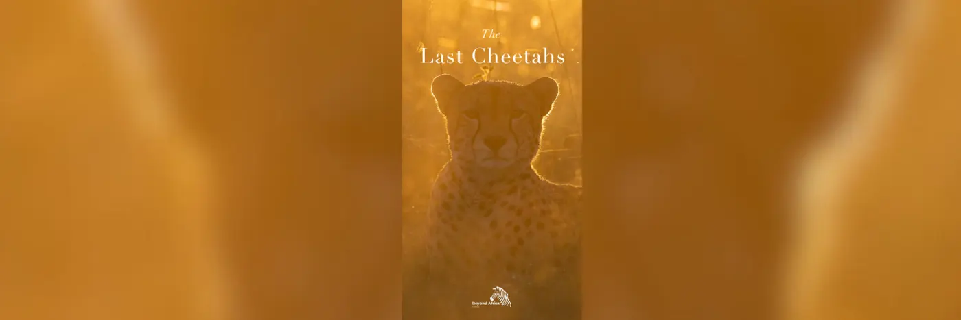 The Last Cheetahs