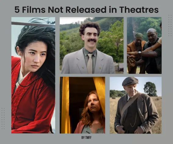 5 Films Not Released in Theatres