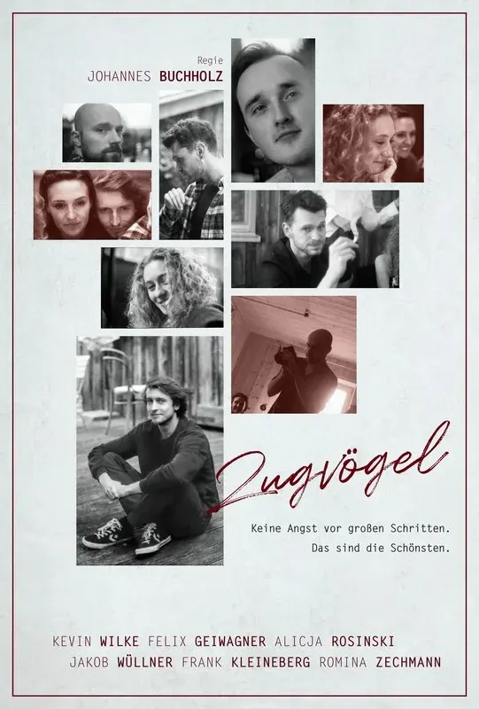 Zugvögel*
