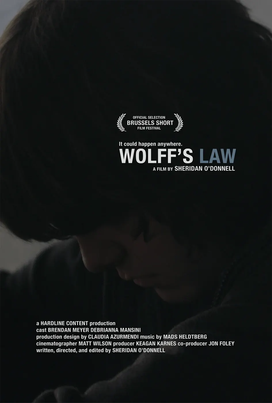 Wolff's Law