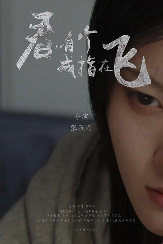 Look, a Ring Is Flying (TRAILER)