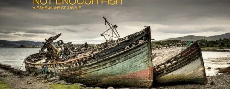 Not Enough Fish*