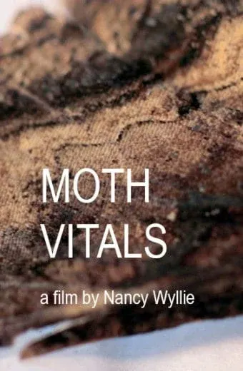 MOTH VITALS