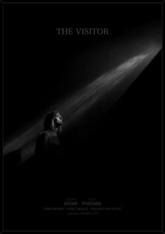 The Visitor