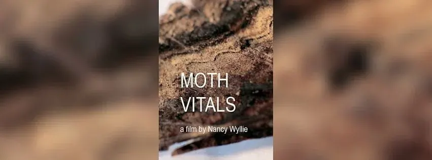 MOTH VITALS
