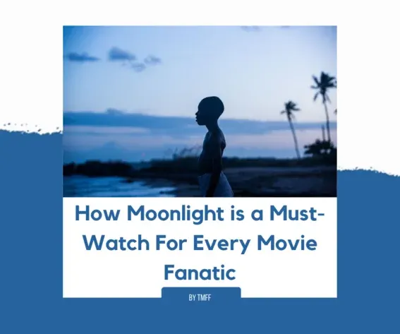 How Moonlight is a Must-Watch For Every Movie Fanatic