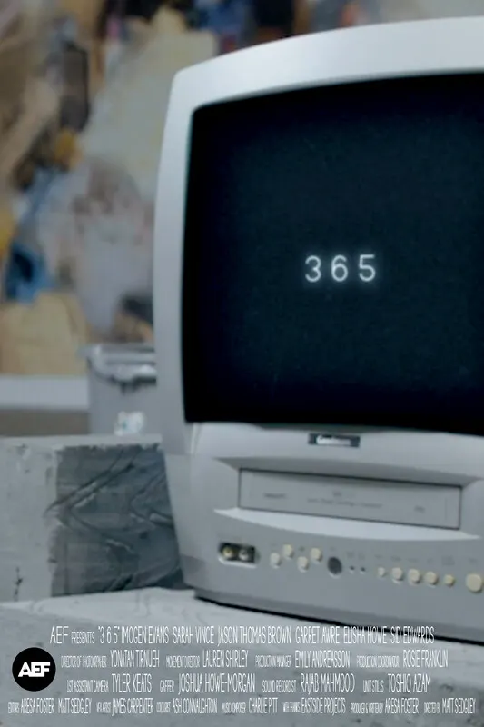3 6 5