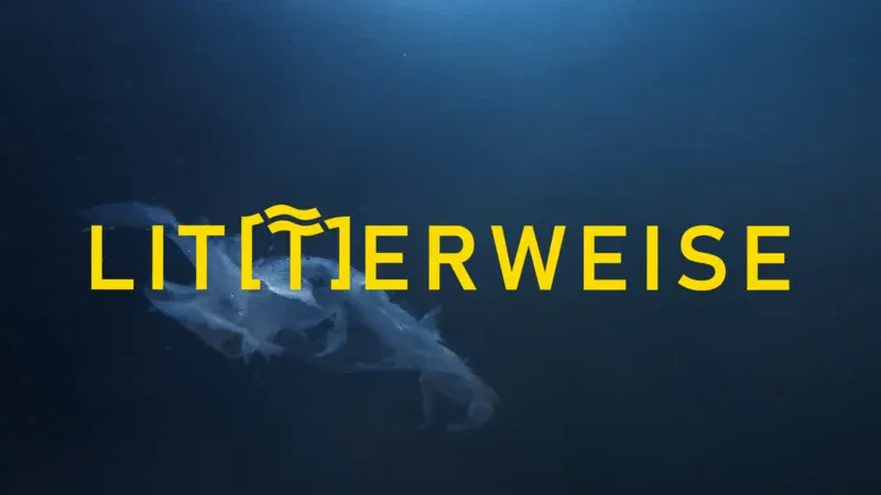 Lit(t)erweise (TRAILER)