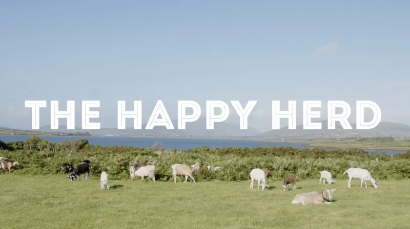 The Happy Herd